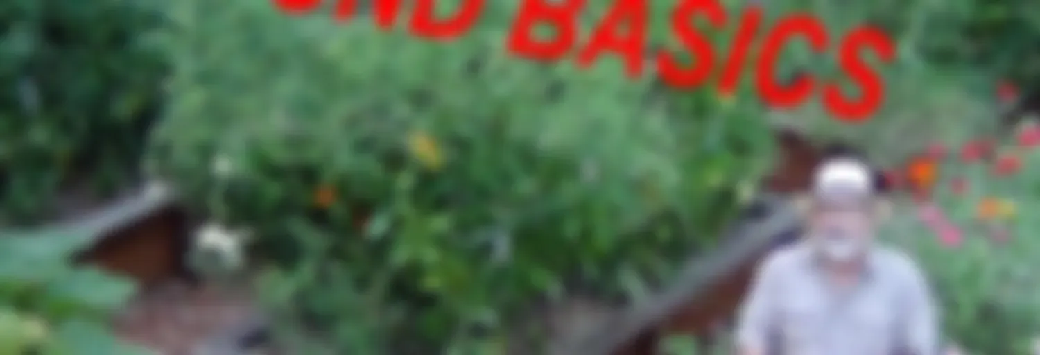 Beyond the Garden Basics