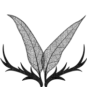 Phaune radio