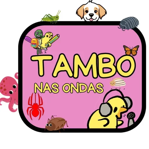 2ºA nas ondas de novo!