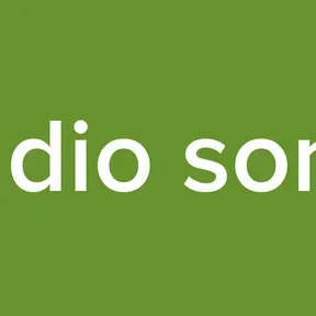 radio sonil