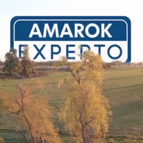 Amarok Experto Argentina