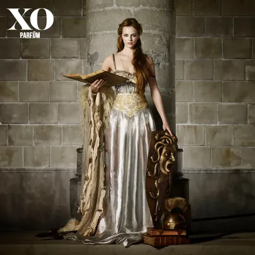 Minerva: Bilginin Işığı Kara Cehaleti Aydınlatır