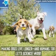 Making Dogs Live Longer—And Humans Too