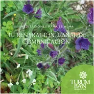 Meditación: Tu respiración, canal de comunicación / Abril 29 de 2021