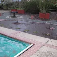 Rain-Draining Strategies for Your Yard and Garden