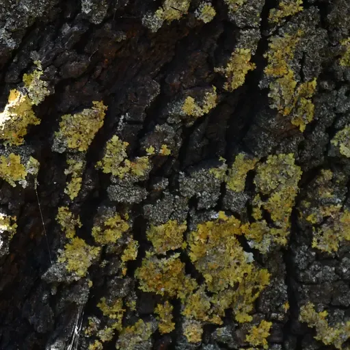 Monocromàtic de Juan Antonio Canta