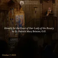 16. Homily for the Feast of Our Lady of the Rosary by Fr. Patrick Mary Briscoe, O.P.