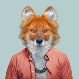 Renard
