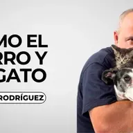 Como el perro y el gato 28/02/2026