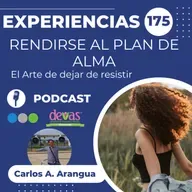 Rendirse al Plan del Alma – El arte de dejar de resistir Experiencias 175