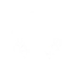Razonemos