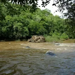 Bem vindos amigos ouvintes