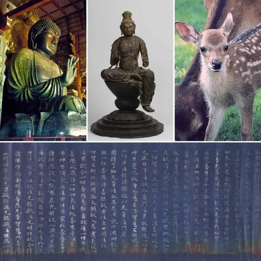 #129 Nara, Japón 