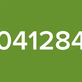 041284