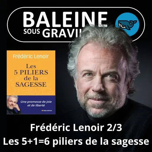 S07E71 Les 5 piliers de la sagesse 2/3  : L'humour, un 6e pilier (Frédéric Lenoir)