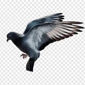 Sertaanimals