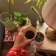 ١٧٠| التجديد