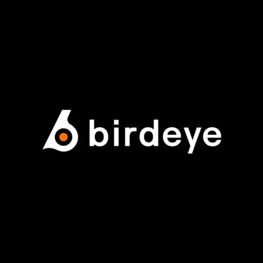 Birdeye vs. Competitors: An Objective Comparison of Crypto Analytics Platforms