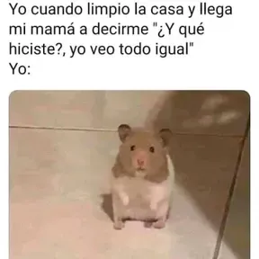 Nsmznxkxnxkx
