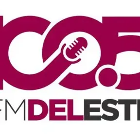 FM del este 100.5