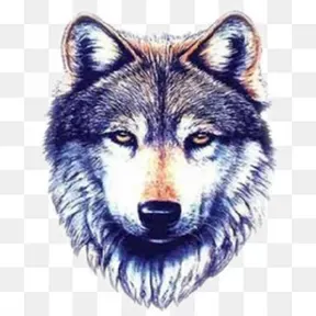 Wolf Radio