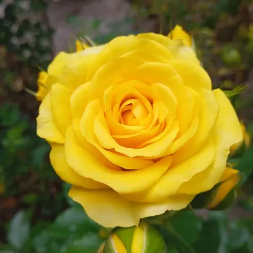 Dios es fiel, Dios me ama! 😍