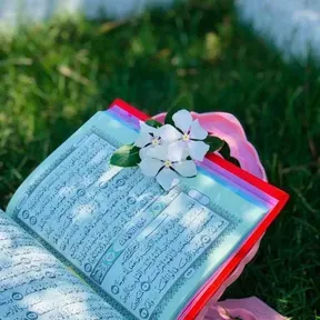 نور القران