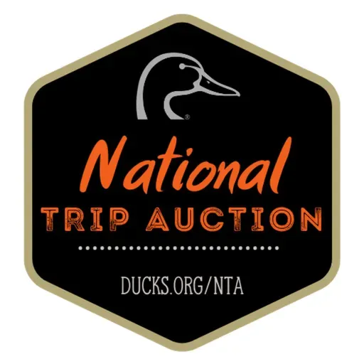 Ep. 699 - Bid on Your Dream Adventure: A Deep Dive into the National Trip Auction