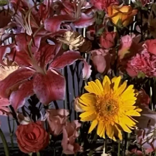 Veinticuatro años y un día #2. Géneros: 'La acción expresada'