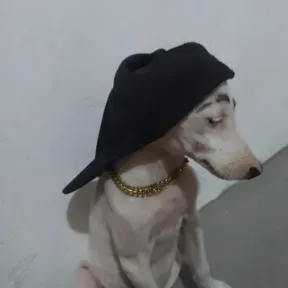 Pedrinho