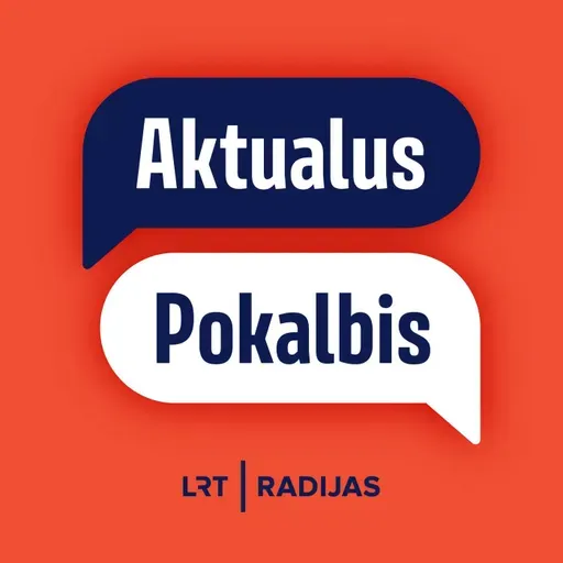 Budrys: oro erdvę pažeidžiantys dronai nėra tik pasienio valstybių reikalas
