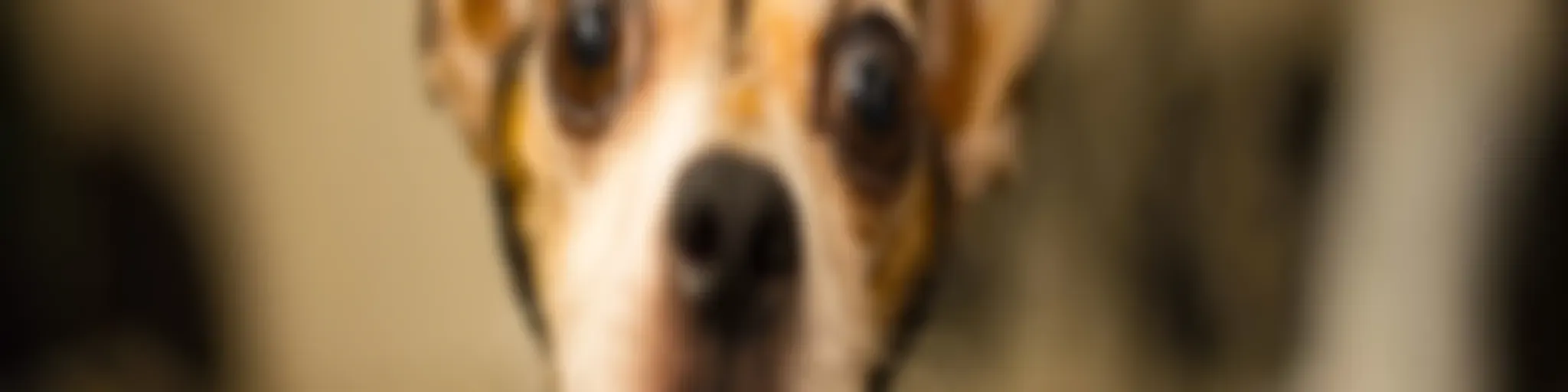 The Breakfast Club and all everything