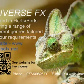 Diverse FX