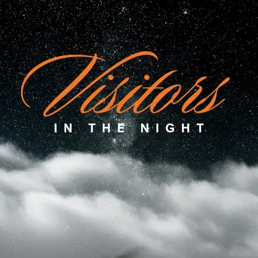 Visitors in the Night