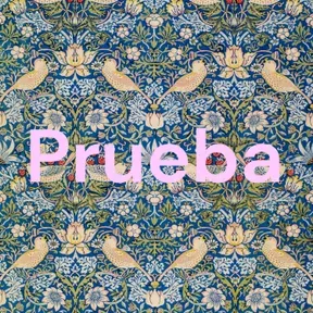 Prueba
