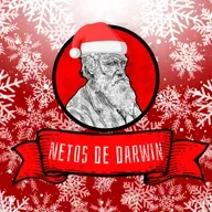 Especial de Fim de Ano | Netos de Darwin