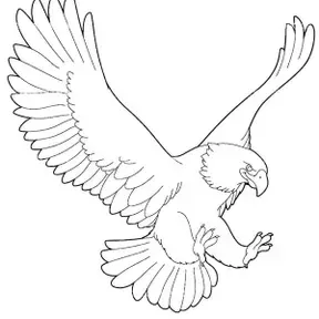 LSMIGUEL