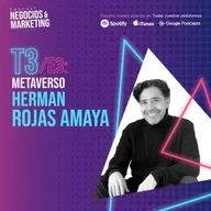 T3 E3: Metaverso