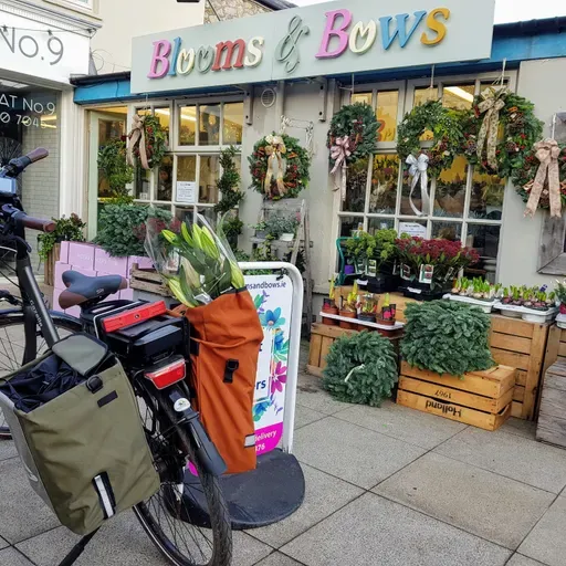 Cycling through life's transitions