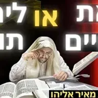 הרב מאיר אליהו | יראת שמיים או לימוד תורה? | משכן יהודה