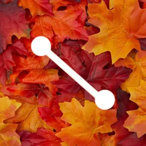 Ep.26 A lógica da Apple e seus produtos no Brasil