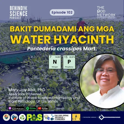 Ep102 - Bakit dumadami ang mga water hyacinth?