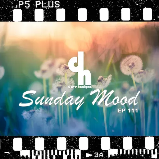 Sunday Mood 111