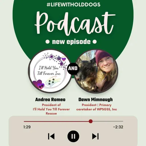 The Inspiring Mission of a New Dog Rescue Organization, I'll Hold You Till Forever.