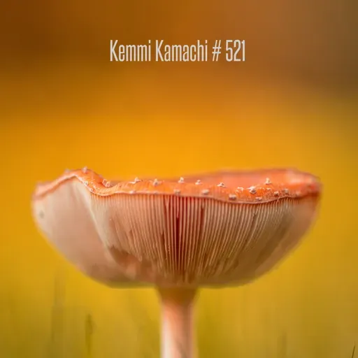 Kemmi Kamachi # 521