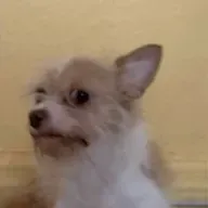 Tema La Culpa Moral del Ser Humano.- RacerFenix (XelaRosales) ElSalvador