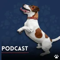 Cuidado de mascotas: ¡Momentos inolvidables!