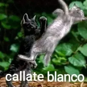 Electrónico