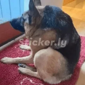 ÁAAIIIIINNN