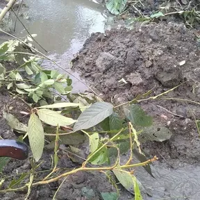 Otra emisora